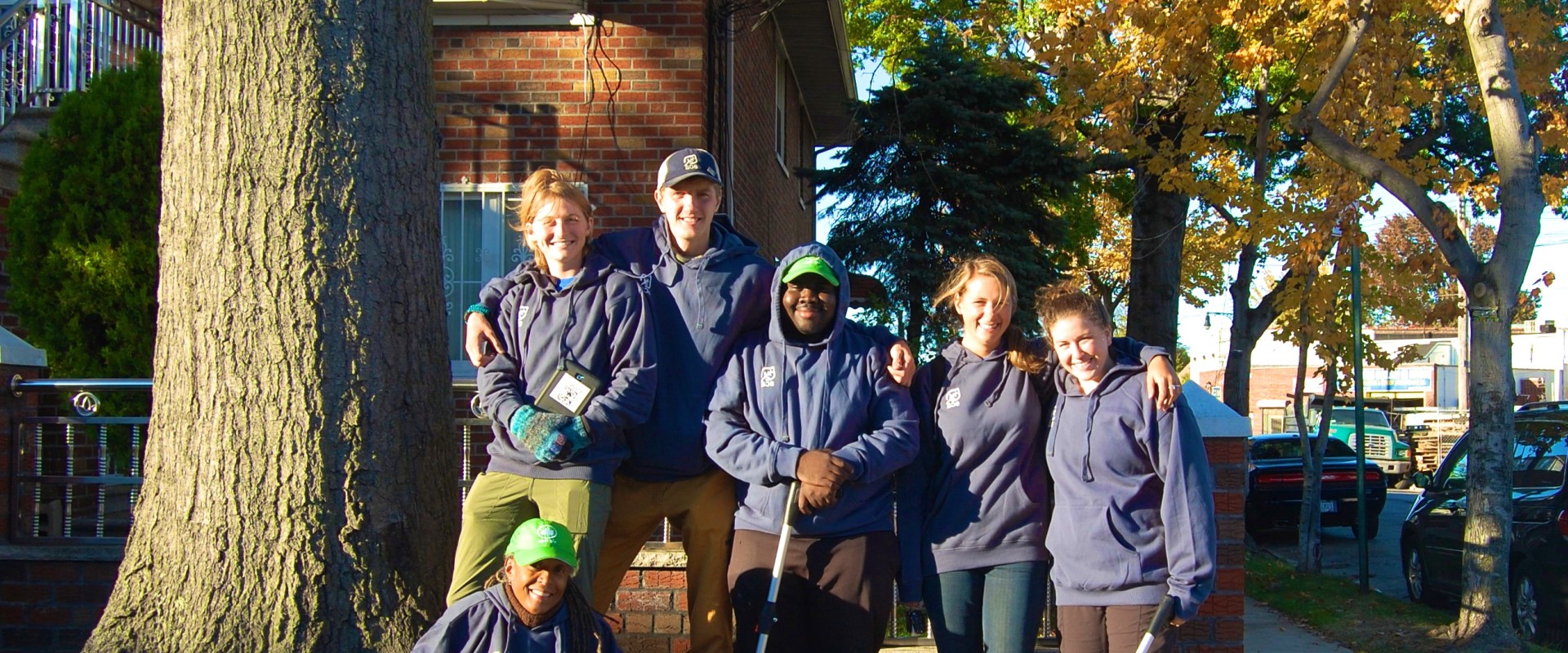 What is the nyc street tree program?