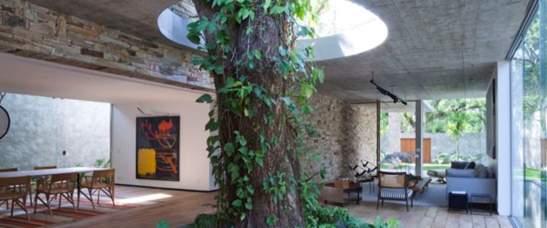 Can a tree survive indoors?