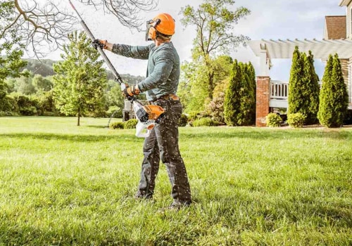 What is tree maintenance?